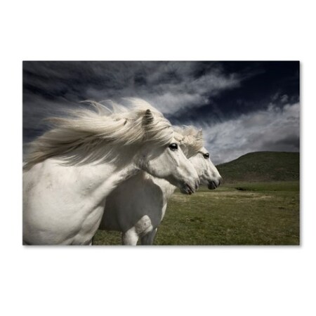Trademark Fine Art Bragi Ingibergsson 'Interplay' Canvas Art, 22x32 1X01952-C2232GG